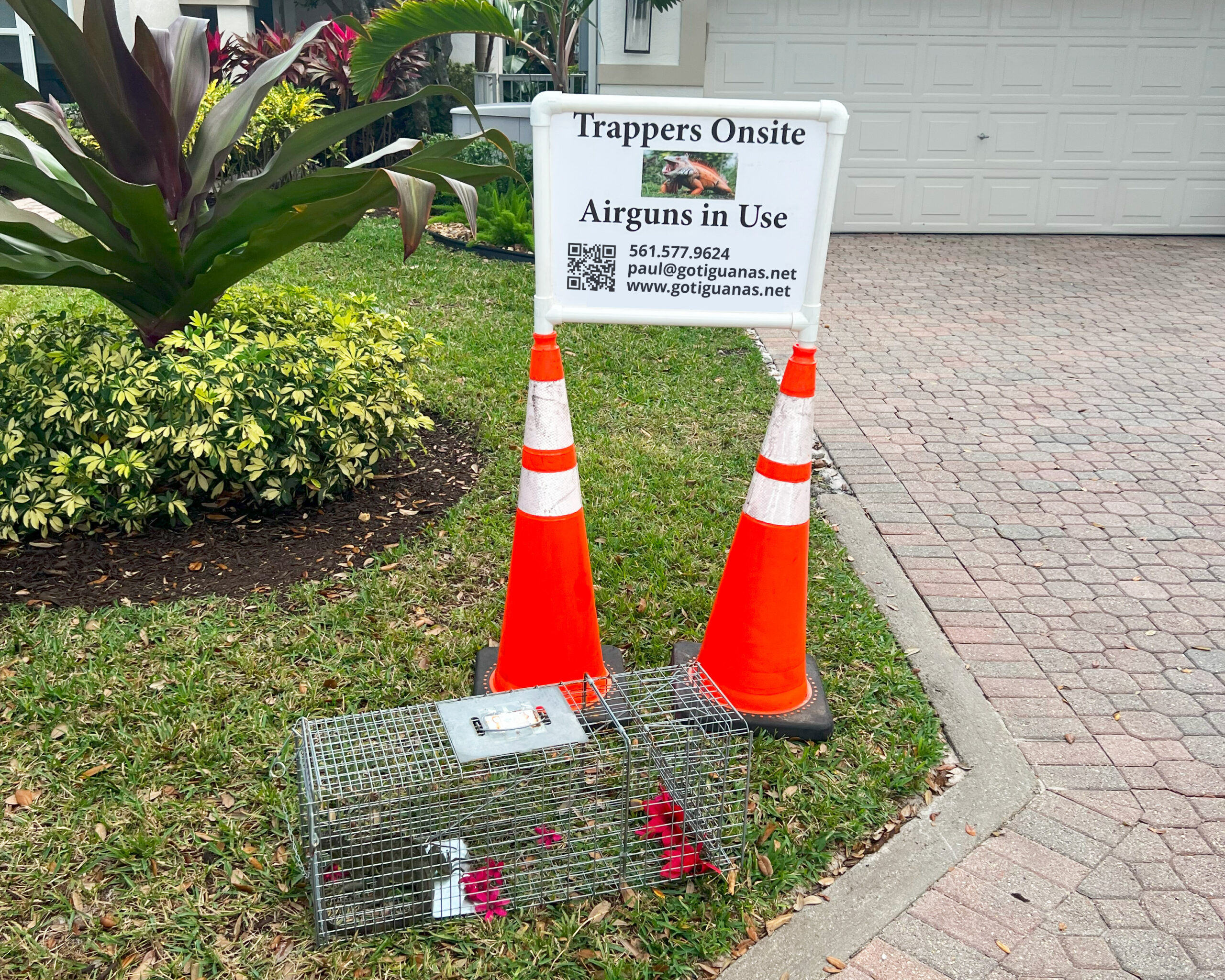 Our Trappers Onsite signs alert neighbors and passerbys of our presence.  they also have contact info and links to the importance iguana removal